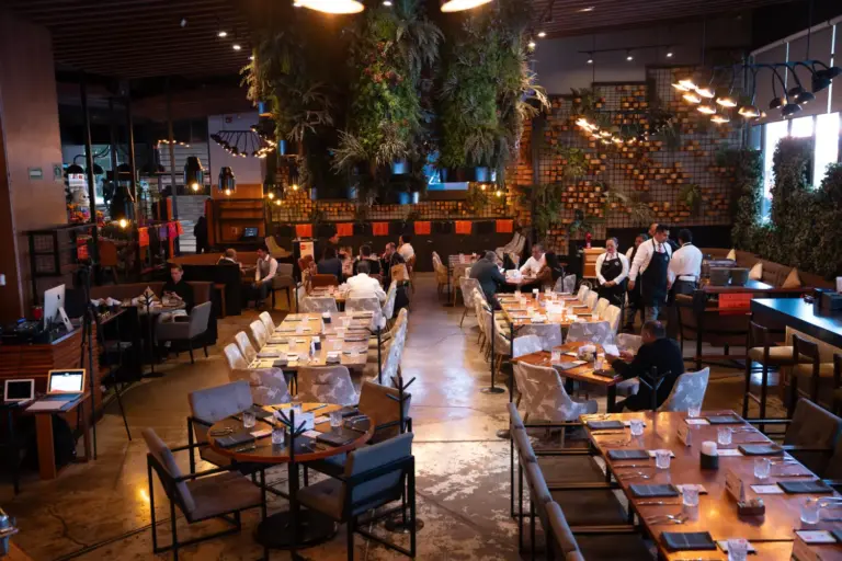 54882491112_2042b951b7_o