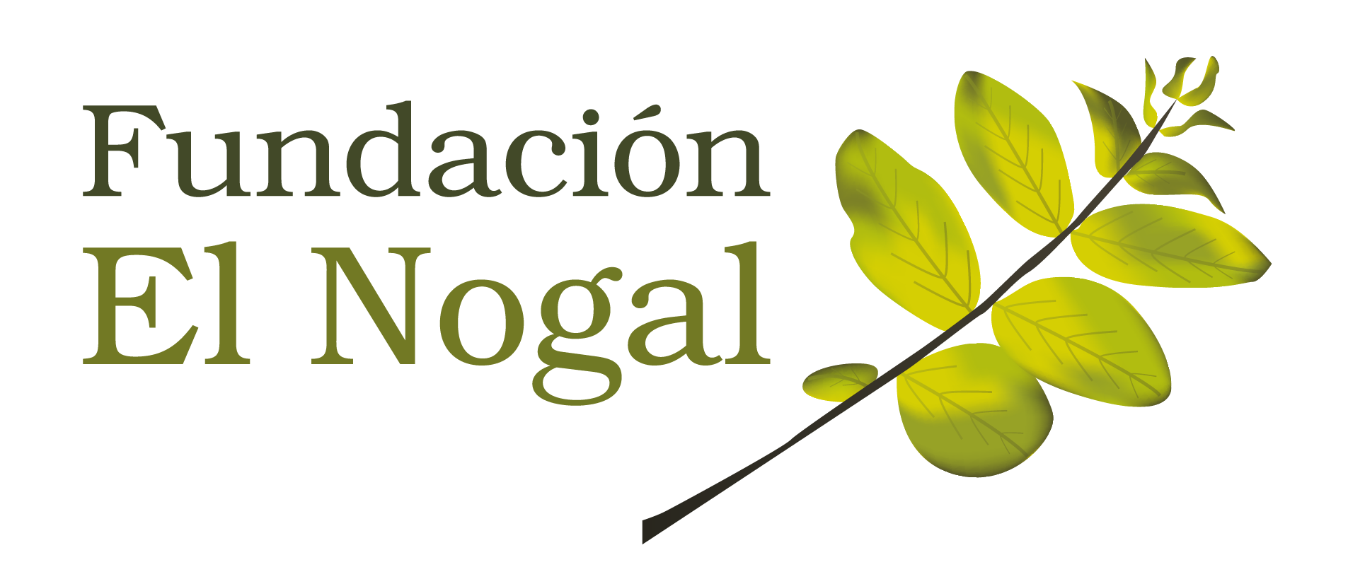 Fundaci_on El Nogal partner_logo 14