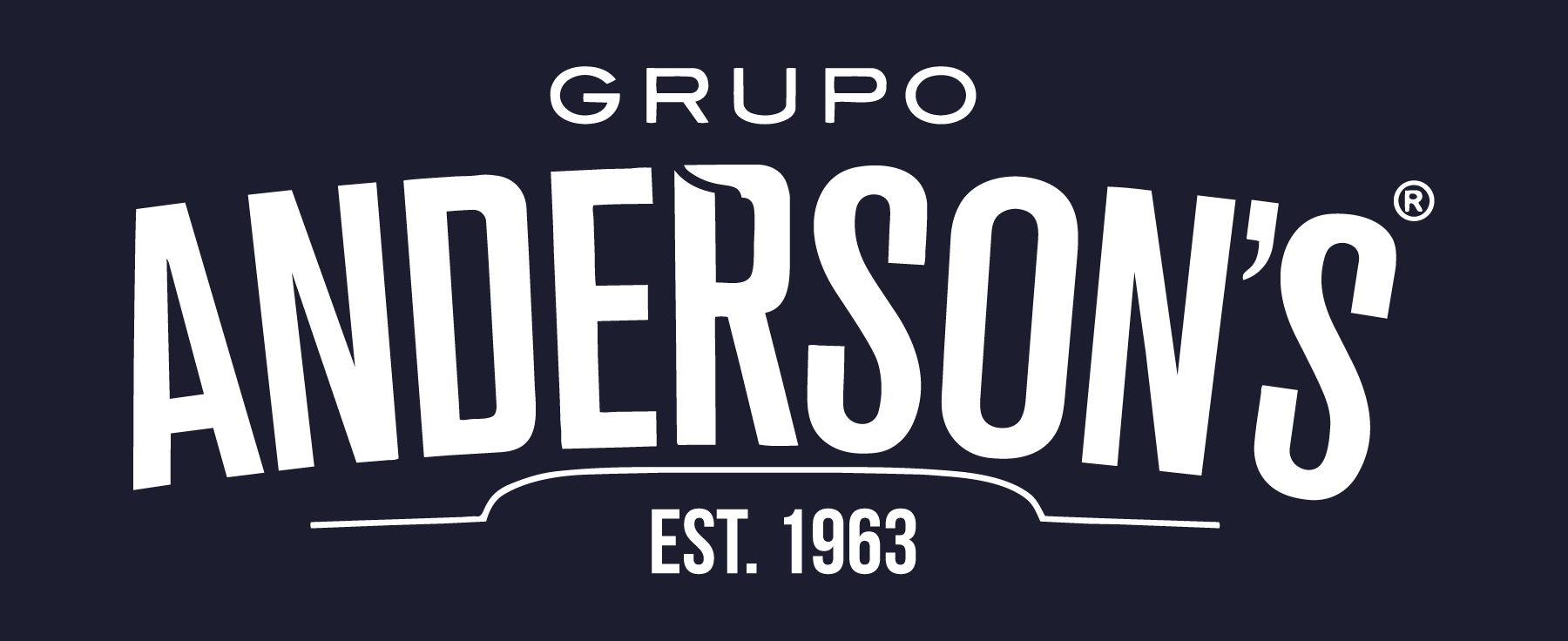 Grupo Anderson_s partner_logo 9