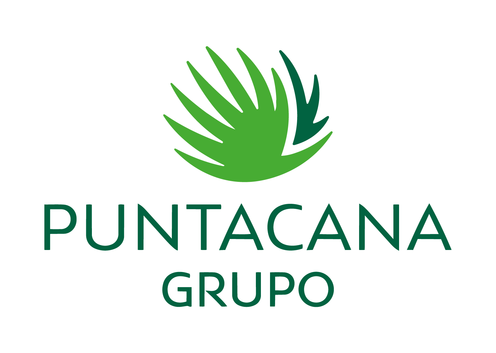 Grupo Puntacana partner_logo 10