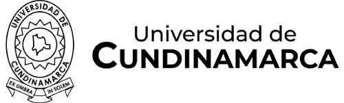 logo 203