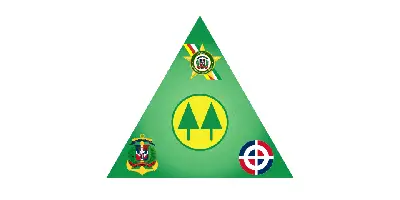 coopinfa