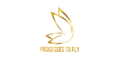 processes to fly